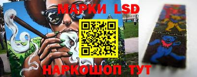 Альфа ПВП Краснознаменск