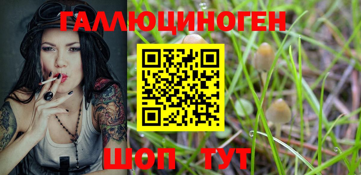 Псилоцибиновые грибы MAGIC MUSHROOMS  Галлюциногенные грибы MAGIC MUSHROOMS  Вход с VPN  Керчь 