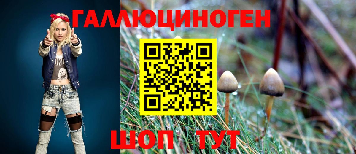 Псилоцибиновые грибы мицелий Керчь